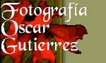 www.ogphoto.com